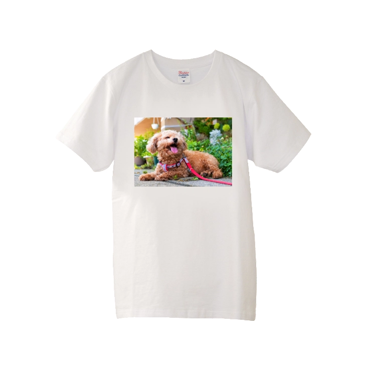 Tシャツ